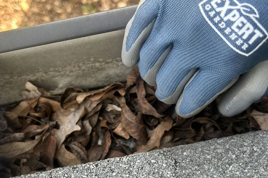 Gutter Cleaning Belmont