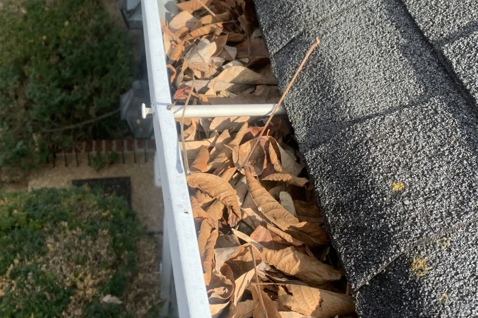 Gutter Cleaning Belmont