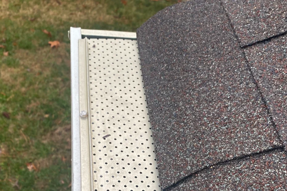 Gutter Cleaning Belmont